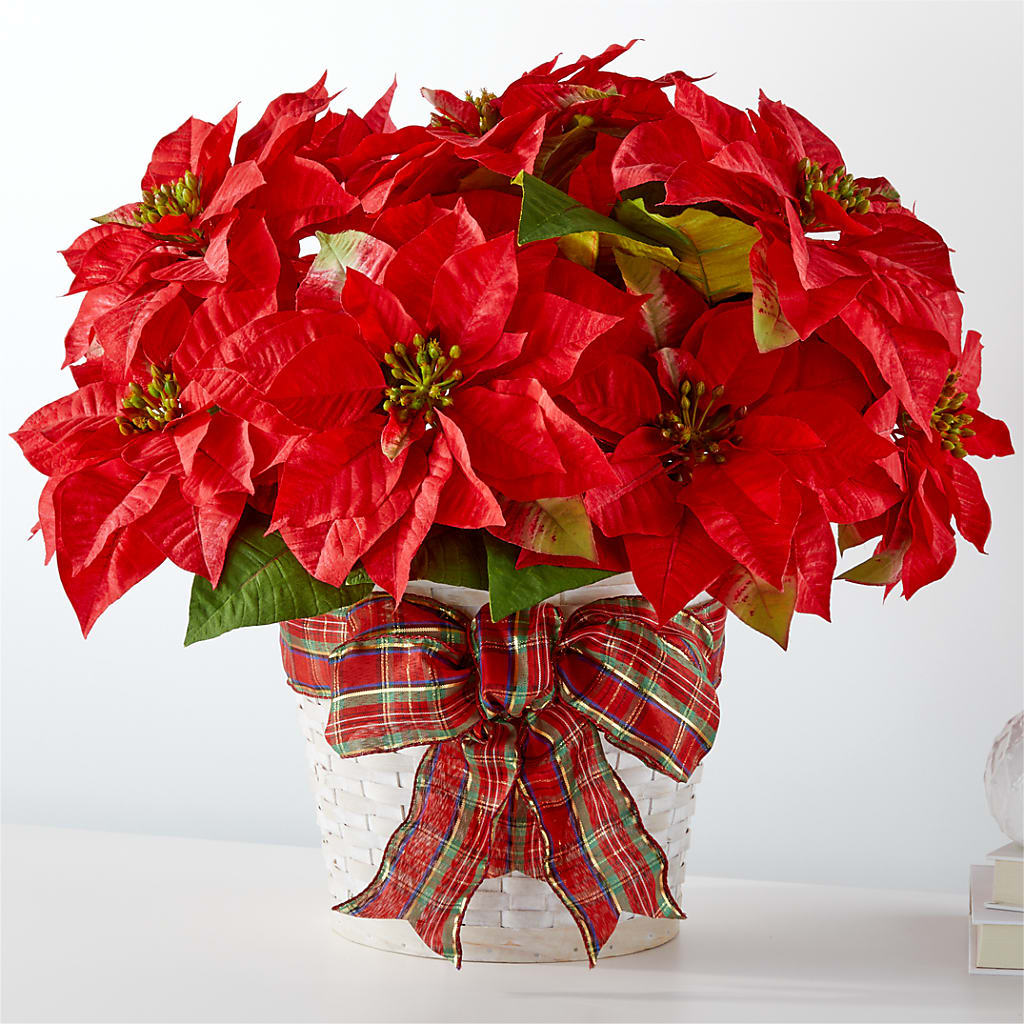 Happiest Holidays Poinsettia – James Floral Shoppe, Wilkinsburg PA