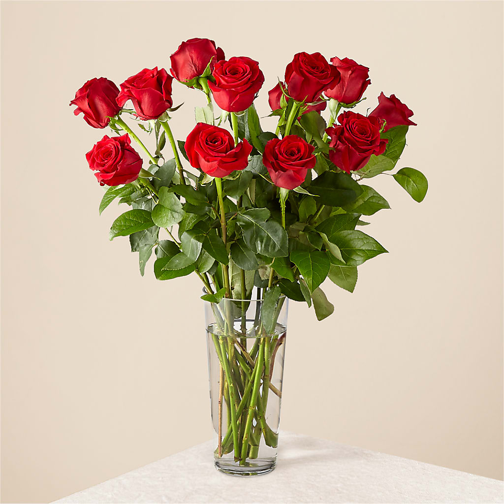Long Stem Red Rose Bouquet – James Floral Shoppe, Wilkinsburg PA