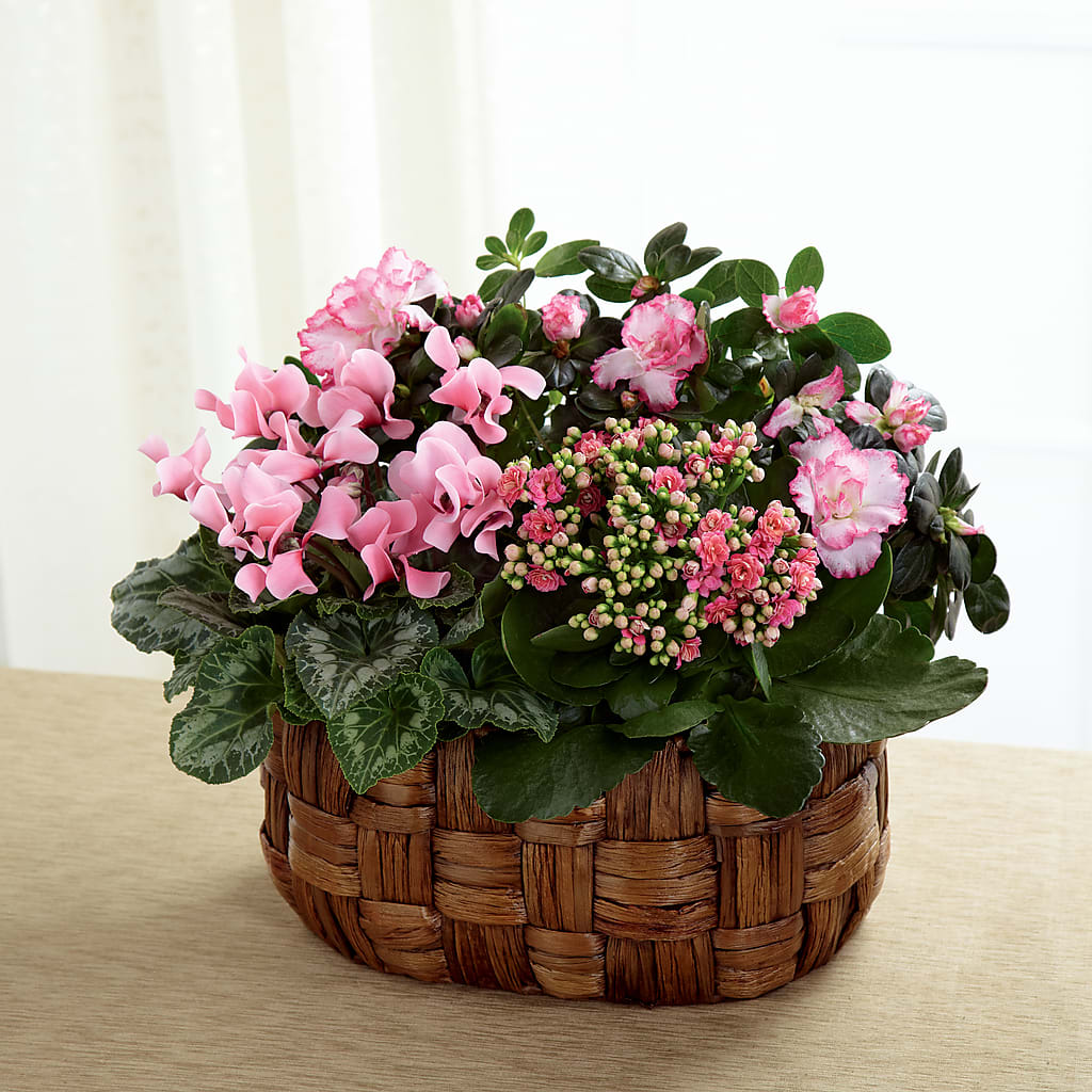 Pink Assortment – James Floral Shoppe, Wilkinsburg PA