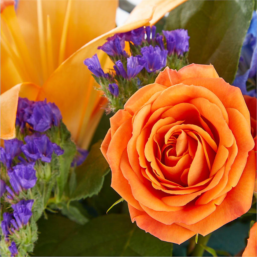 Radiant Citrus Box Bouquet – James Floral Shoppe, Wilkinsburg PA