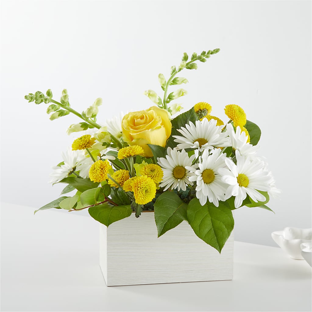 Sun Salutation Box Bouquet – James Floral Shoppe, Wilkinsburg PA