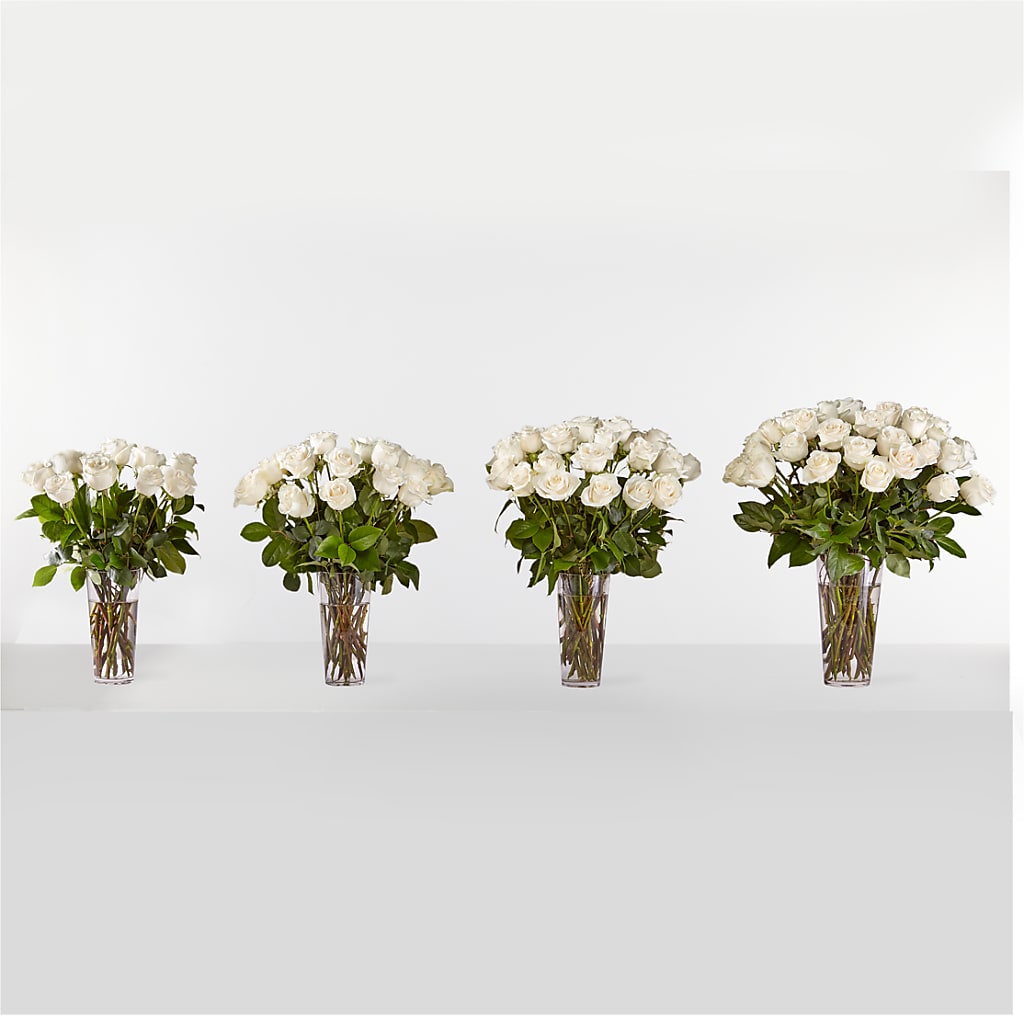 Long Stem White Rose Bouquet – James Floral Shoppe, Wilkinsburg PA