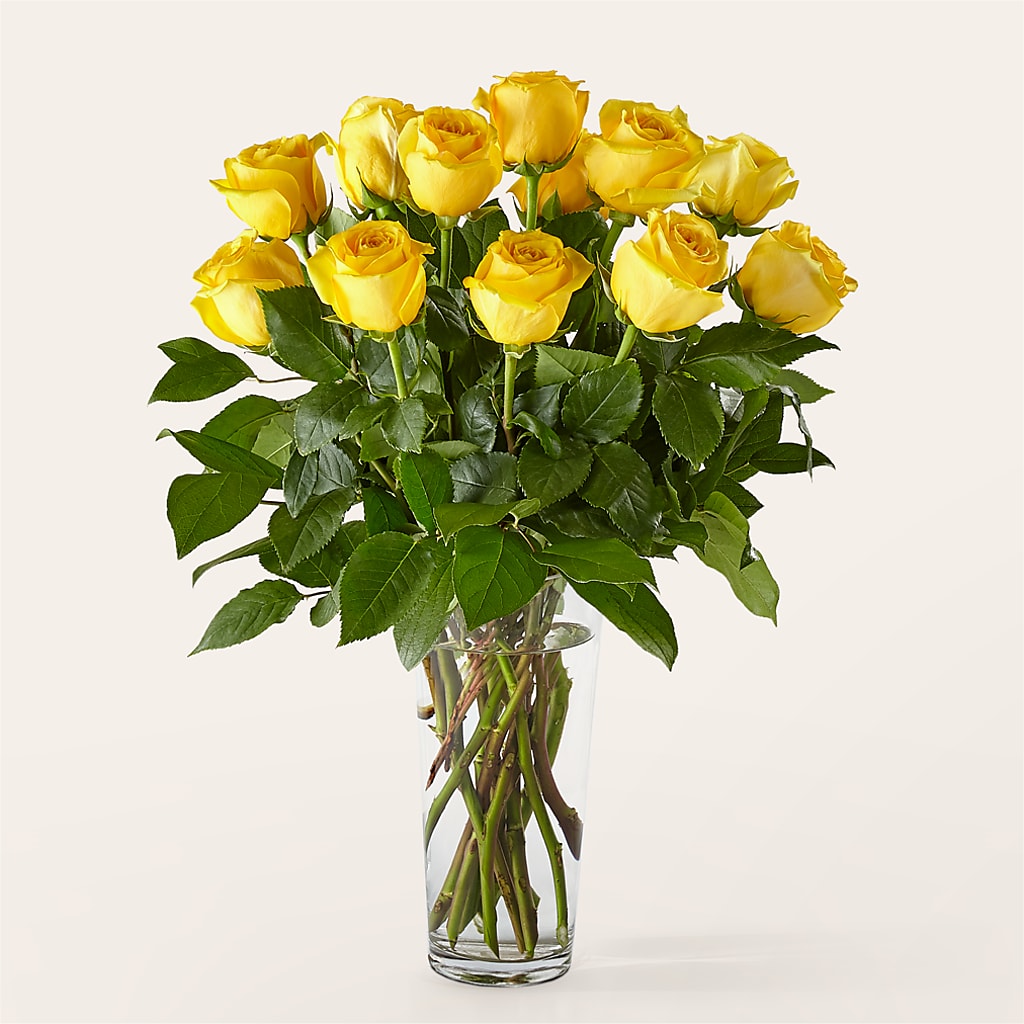 Long Stem Yellow Rose Bouquet – James Floral Shoppe, Wilkinsburg PA