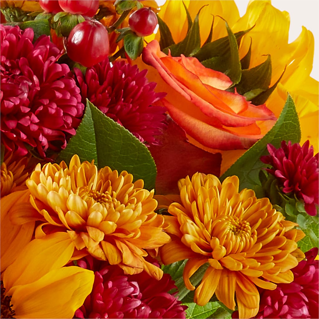 Sweater Season - A Florist Original – James Floral Shoppe, Wilkinsburg PA
