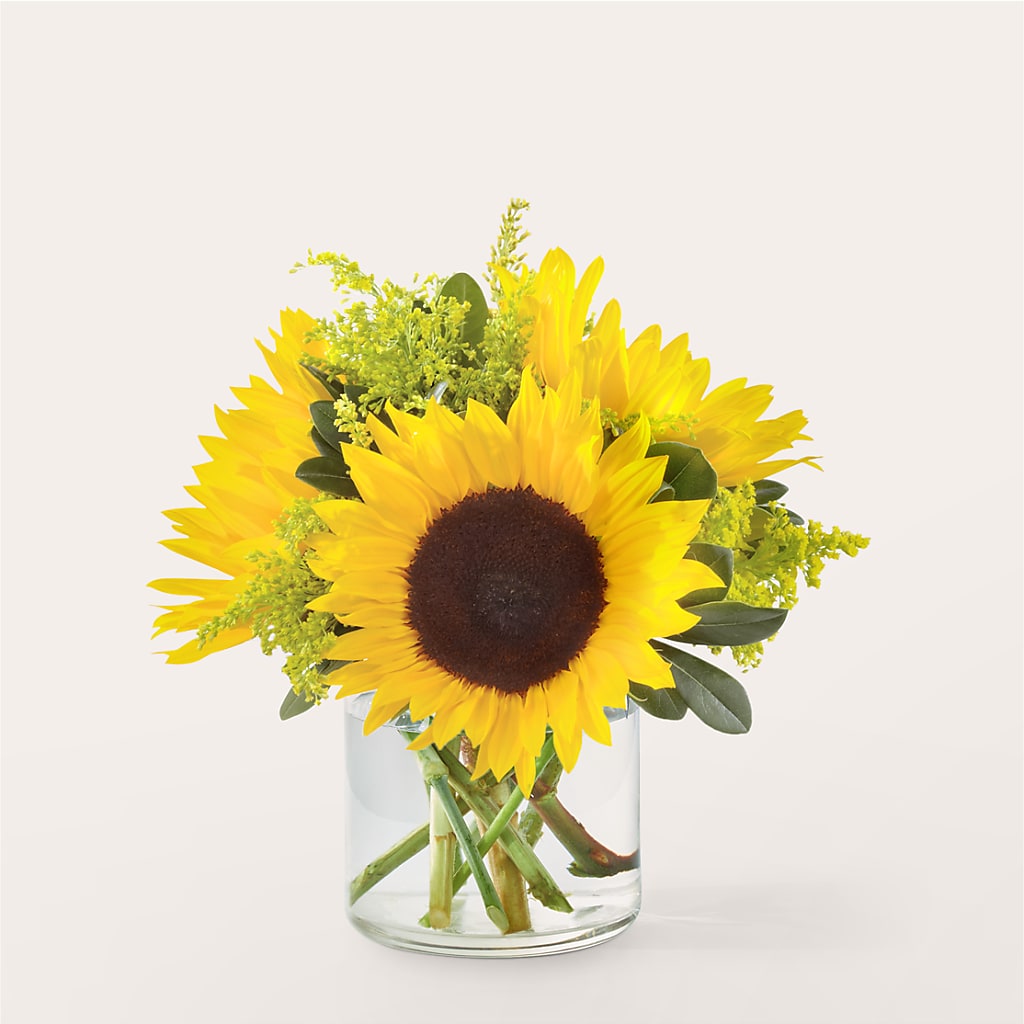 Beaming Sunflower Bouquet – James Floral Shoppe, Wilkinsburg PA
