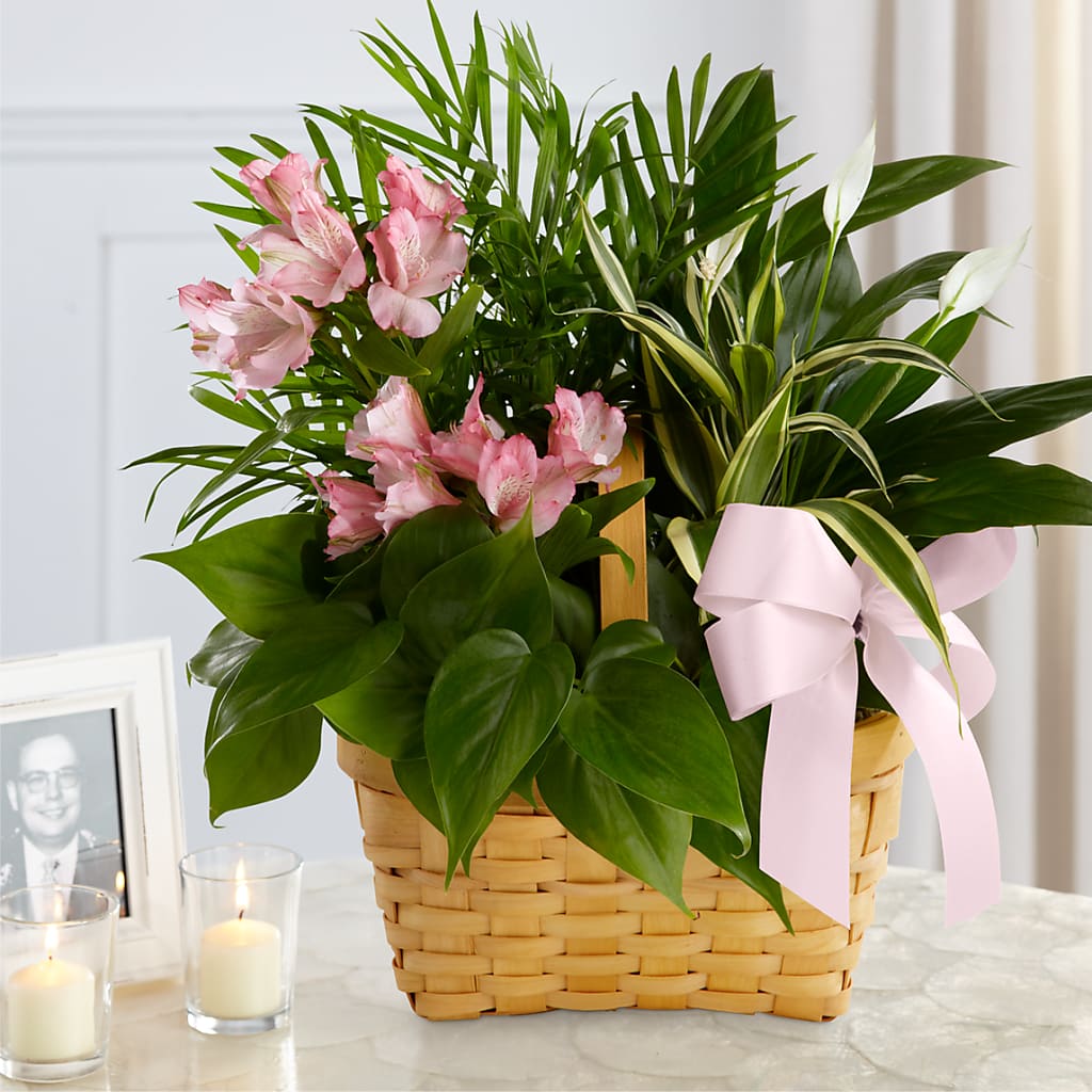 Living Spirit Dishgarden – James Floral Shoppe, Wilkinsburg PA