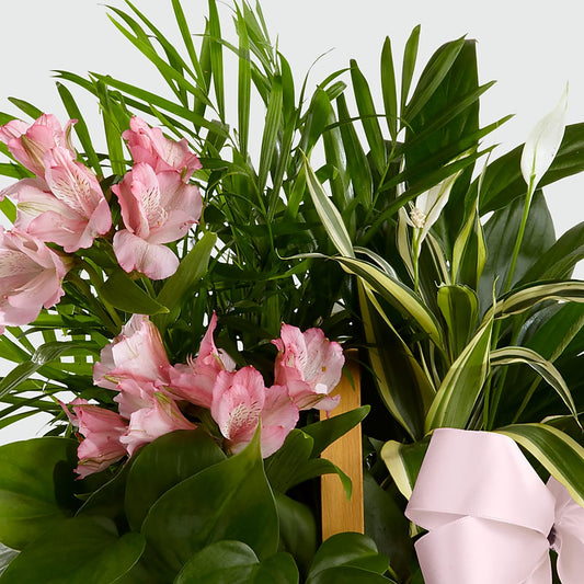 Living Spirit Dishgarden – James Floral Shoppe, Wilkinsburg PA