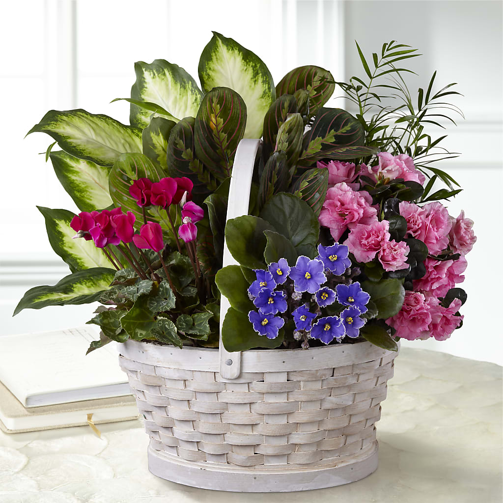 Peaceful Garden Planter – James Floral Shoppe, Wilkinsburg PA
