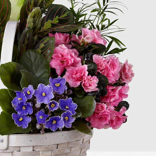 Peaceful Garden Planter – James Floral Shoppe, Wilkinsburg PA