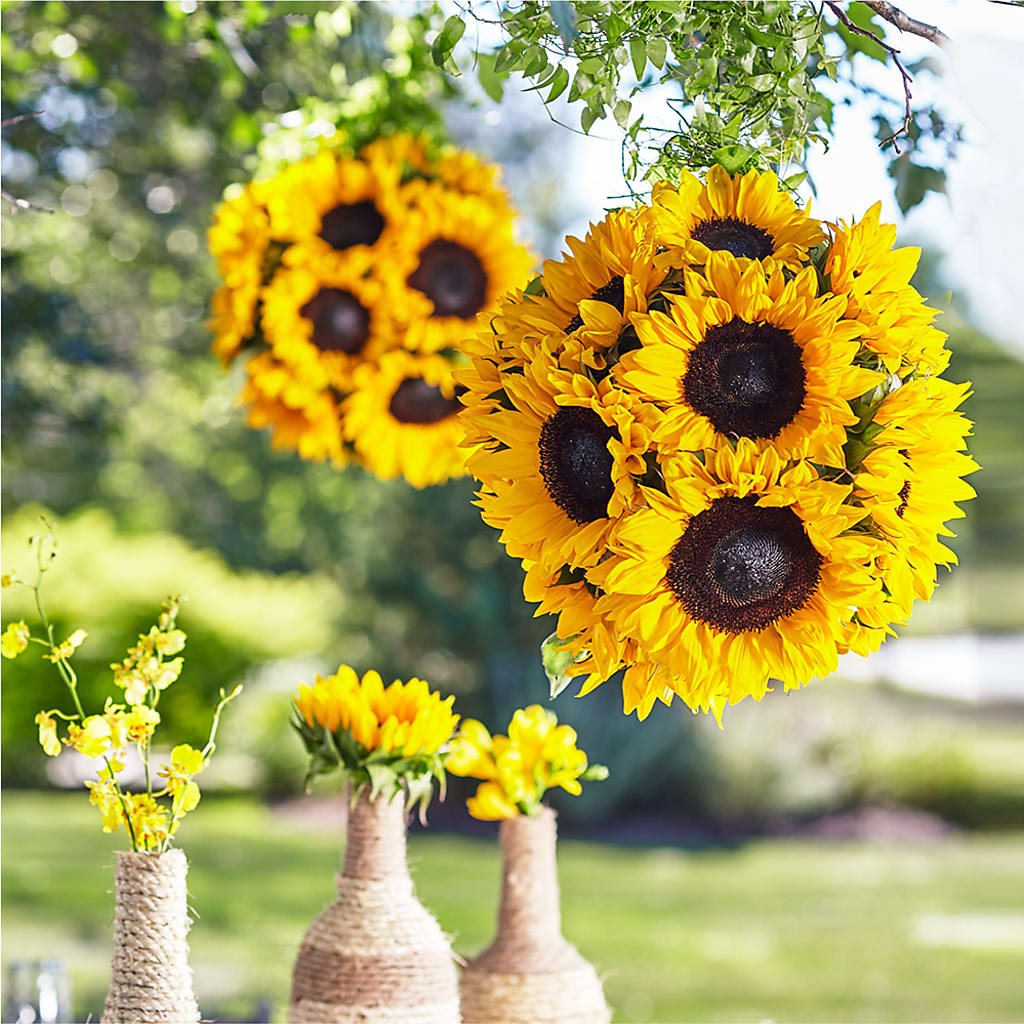 Sublime Garden Hanging Arrangement – James Floral Shoppe, Wilkinsburg PA