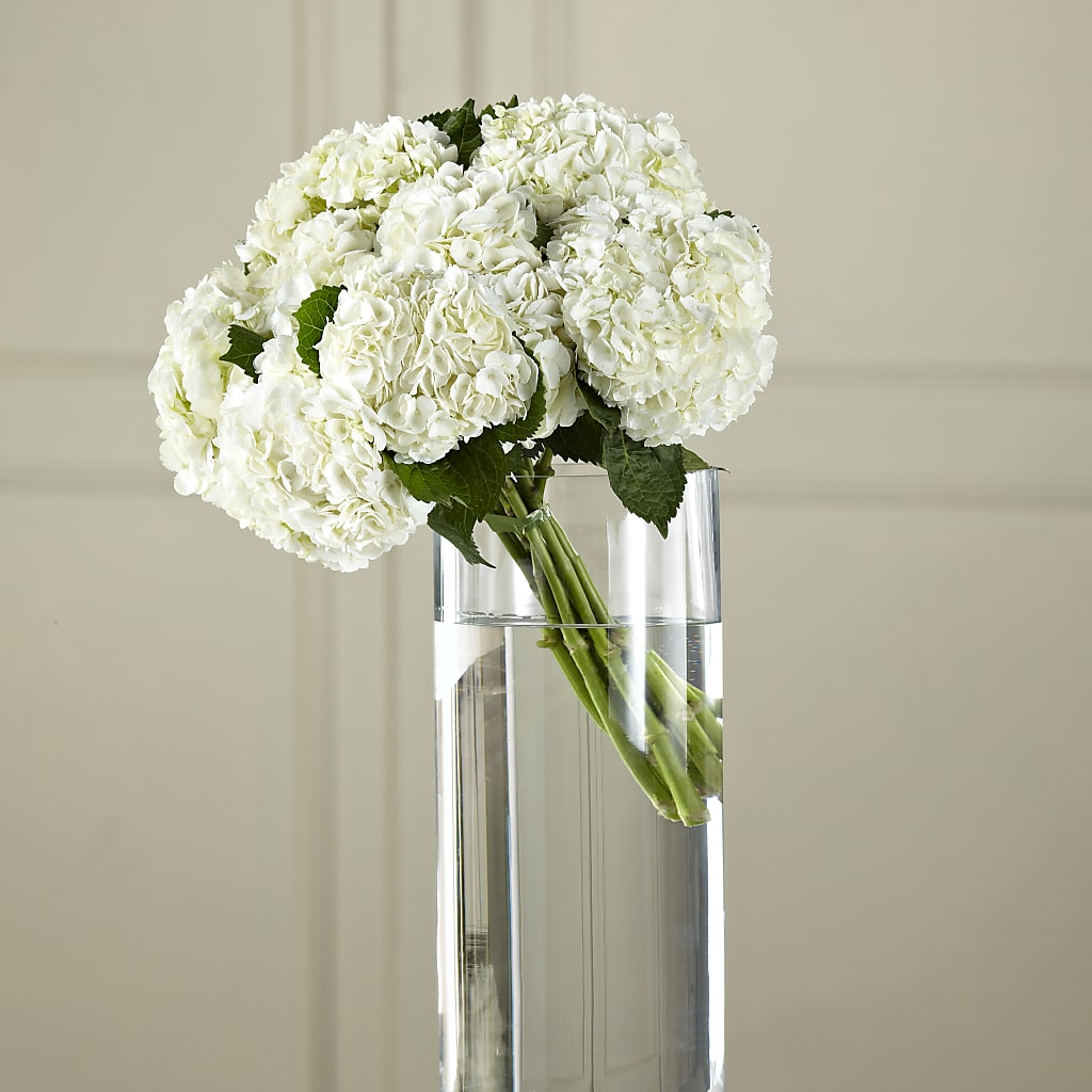 White Hydrangea Hand-Tied Bouquet – James Floral Shoppe, Wilkinsburg PA