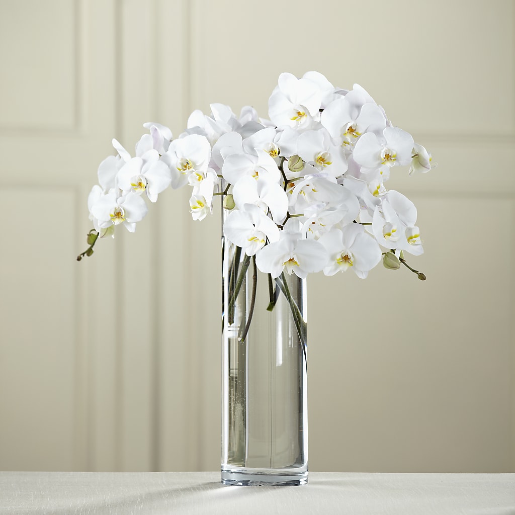 White Phalaenopsis Bouquet – James Floral Shoppe, Wilkinsburg PA