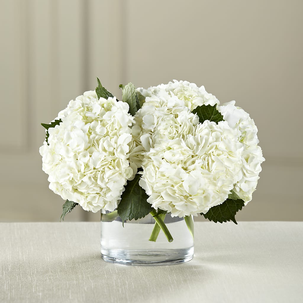White Hydrangea Bouquet – James Floral Shoppe, Wilkinsburg PA