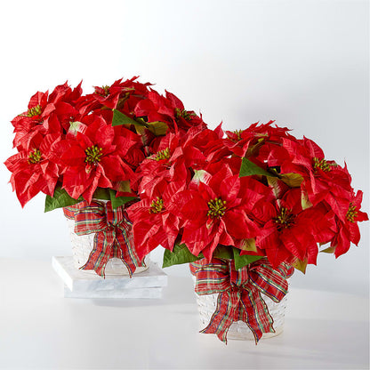Happiest Holidays Poinsettia Bundle –  James Floral Shoppe, Wilkinsburg PA