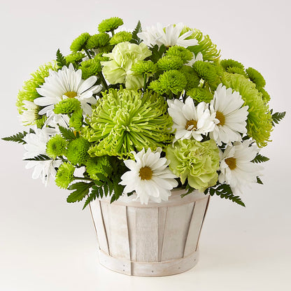 Lucky Charm Basket (Standard) –  James Floral Shoppe, Wilkinsburg PA