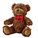 Adorable Plush Bear –  James Floral Shoppe, Wilkinsburg PA