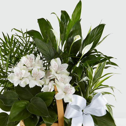 Peace & Serenity Dishgarden –  James Floral Shoppe, Wilkinsburg PA