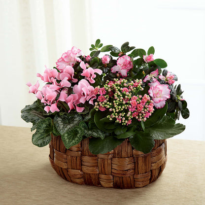 Pink Assortment –  James Floral Shoppe, Wilkinsburg PA