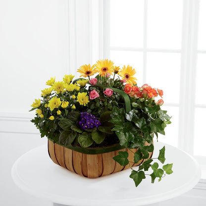 Gentle Blossoms Basket –  James Floral Shoppe, Wilkinsburg PA