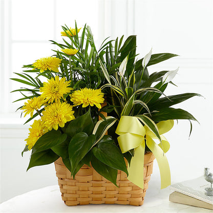 Loving Light Dishgarden –  James Floral Shoppe, Wilkinsburg PA
