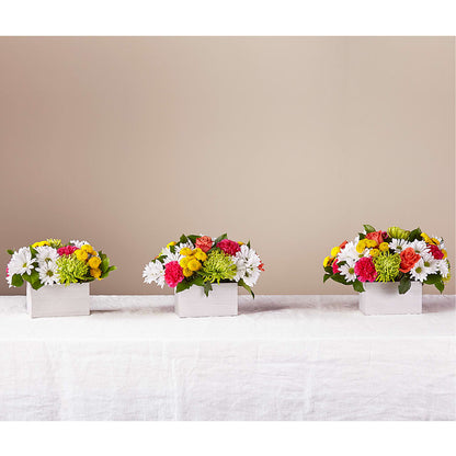 Sorbet Bouquet –  James Floral Shoppe, Wilkinsburg PA