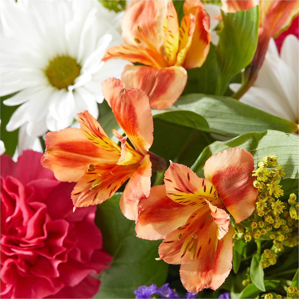 Oopsie Daisy Box Bouquet –  James Floral Shoppe, Wilkinsburg PA