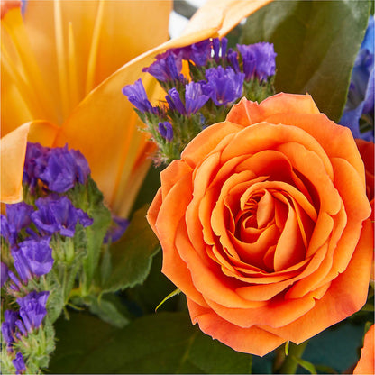 Radiant Citrus Box Bouquet –  James Floral Shoppe, Wilkinsburg PA