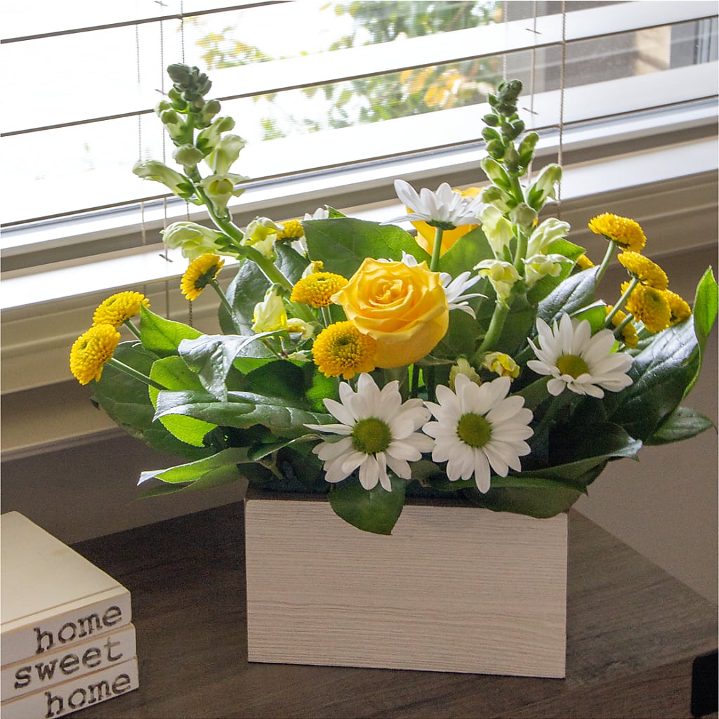 Sun Salutation Box Bouquet –  James Floral Shoppe, Wilkinsburg PA