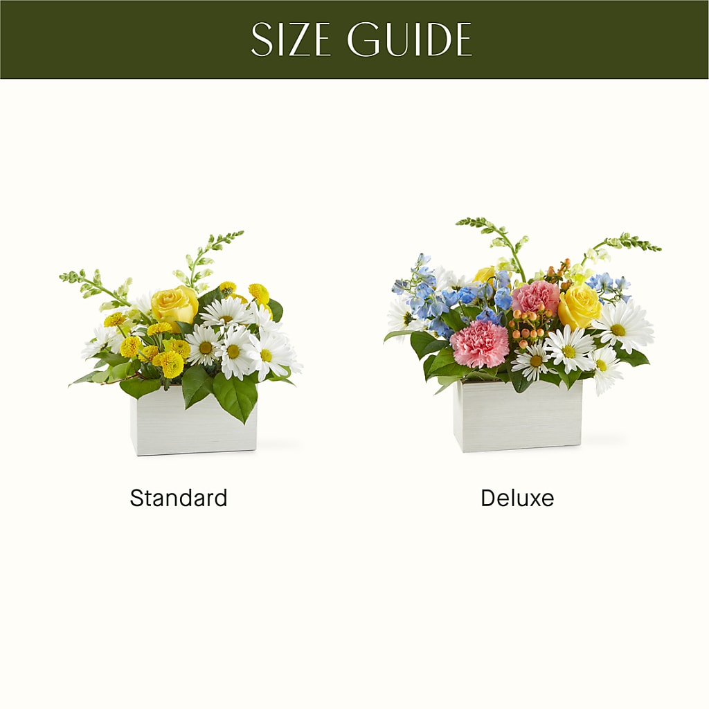 Sun Salutation Box Bouquet –  James Floral Shoppe, Wilkinsburg PA