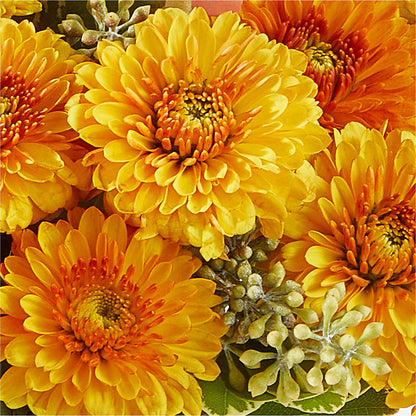 Peachy Pumpkin –  James Floral Shoppe, Wilkinsburg PA
