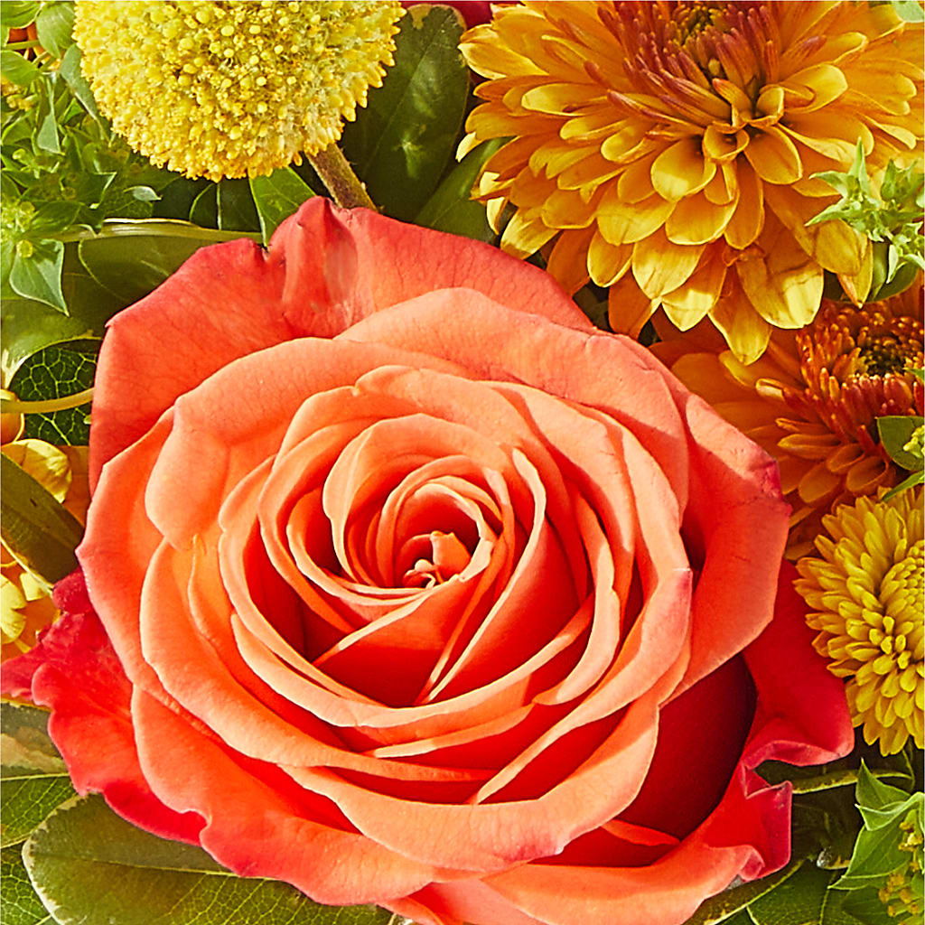 Gourdgeous Pumpkin –  James Floral Shoppe, Wilkinsburg PA