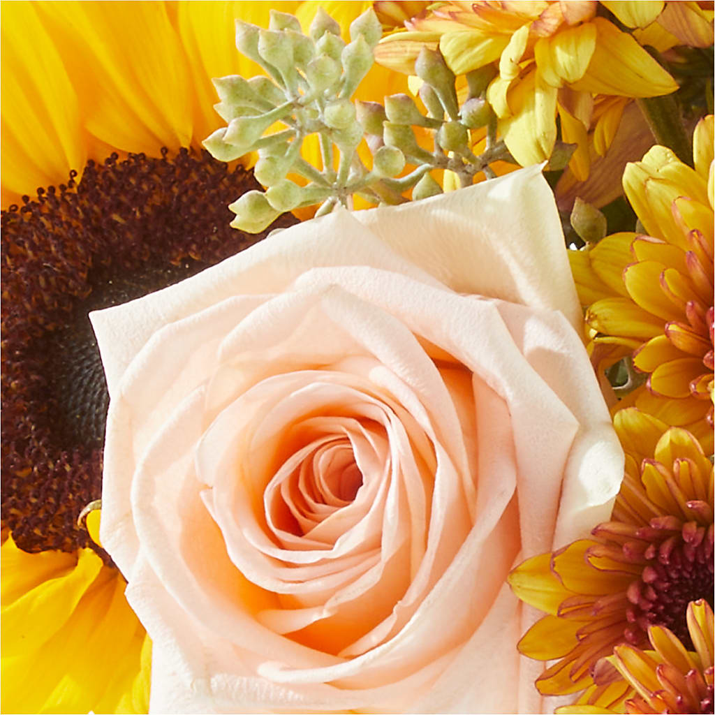 Pumpkin to Talk About Bouquet –  James Floral Shoppe, Wilkinsburg PA