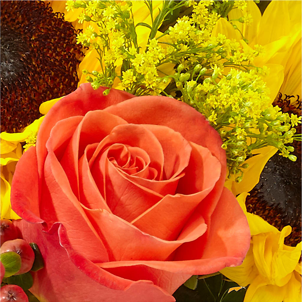 Pick of the Patch Pumpkin Bouquet –  James Floral Shoppe, Wilkinsburg PA