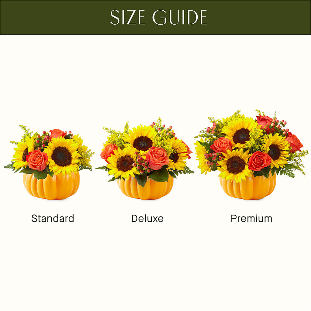 Pick of the Patch Pumpkin Bouquet –  James Floral Shoppe, Wilkinsburg PA
