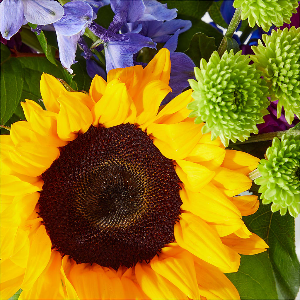 Catching Rays Bouquet –  James Floral Shoppe, Wilkinsburg PA