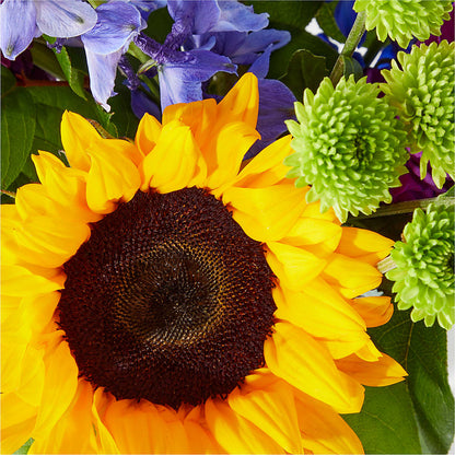 Catching Rays Bouquet –  James Floral Shoppe, Wilkinsburg PA