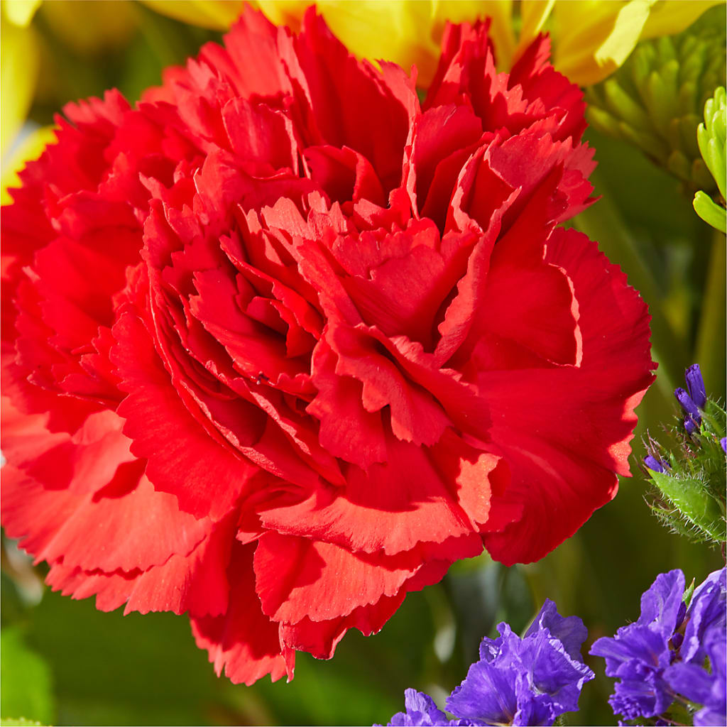 Brighter Days Bouquet –  James Floral Shoppe, Wilkinsburg PA