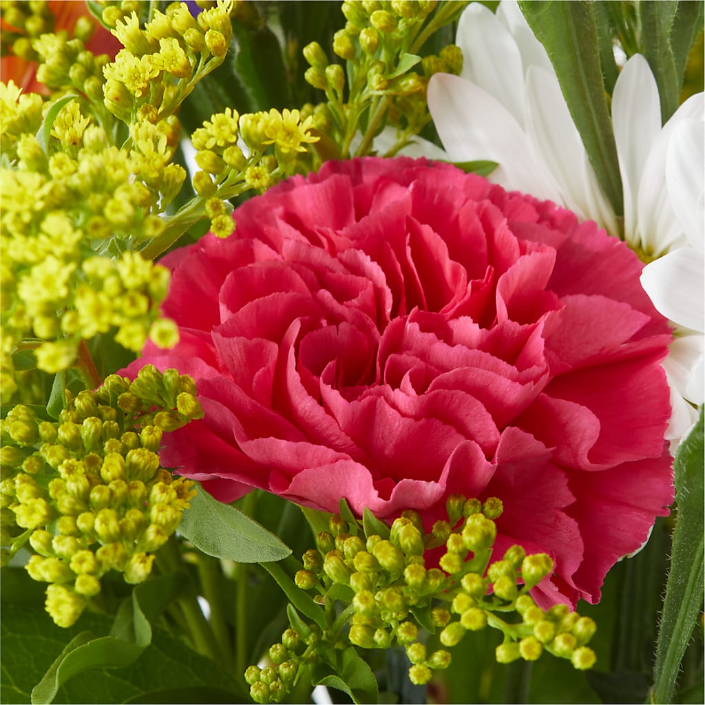 Oopsie Daisy Bouquet –  James Floral Shoppe, Wilkinsburg PA