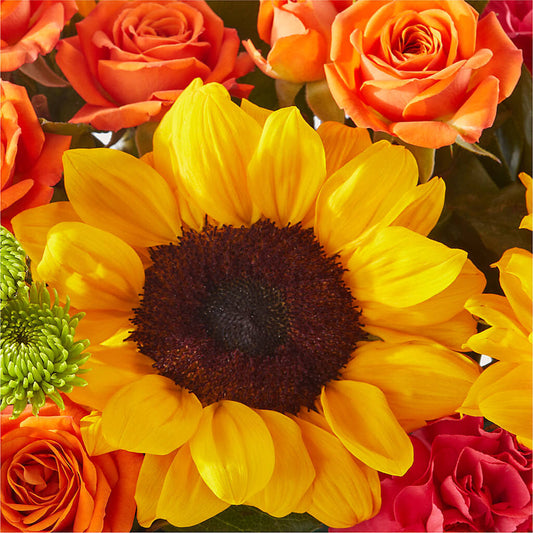 Sun-drenched Blooms Box Bouquet –  James Floral Shoppe, Wilkinsburg PA
