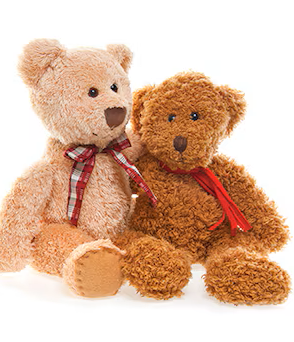 Plush Bear –  James Floral Shoppe, Wilkinsburg PA