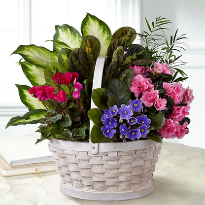 Peaceful Garden Planter –  James Floral Shoppe, Wilkinsburg PA