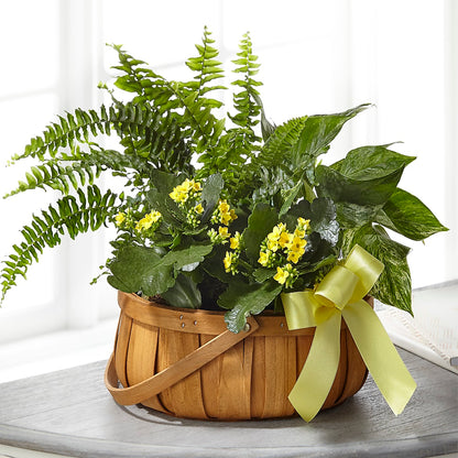 Always Dear Dishgarden –  James Floral Shoppe, Wilkinsburg PA