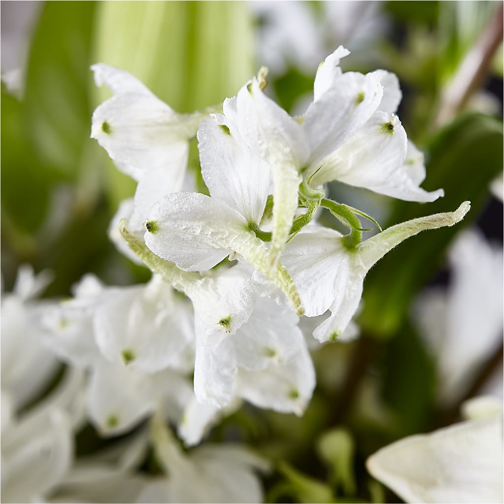 Classic Ivory – A Florist Original –  James Floral Shoppe, Wilkinsburg PA