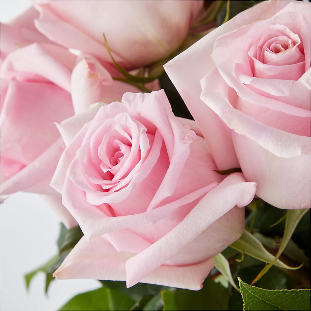 Picture Perfect Pink Rose Bouquet –  James Floral Shoppe, Wilkinsburg PA
