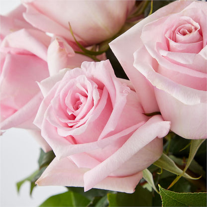 Picture Perfect Pink Rose Bouquet –  James Floral Shoppe, Wilkinsburg PA