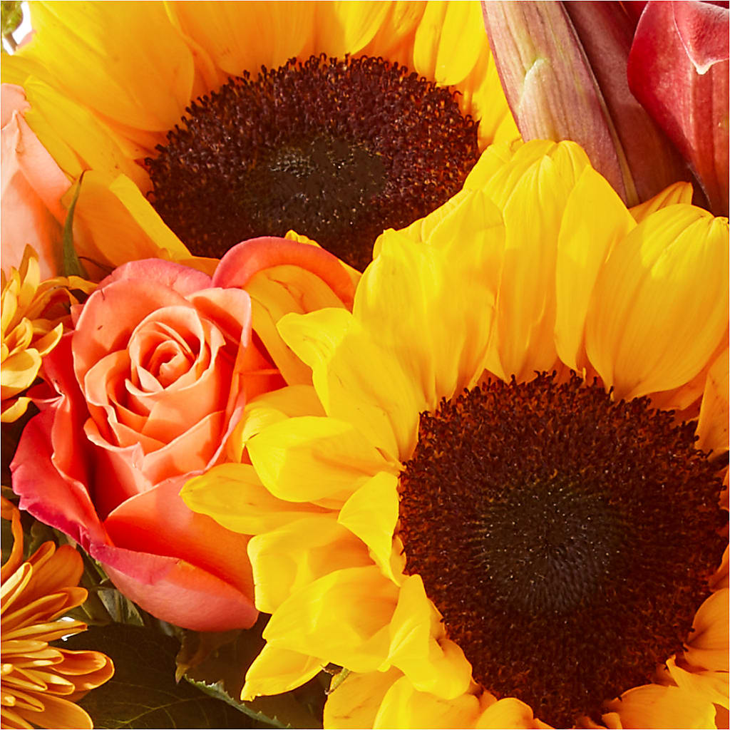 Acorn Lane Bouquet –  James Floral Shoppe, Wilkinsburg PA