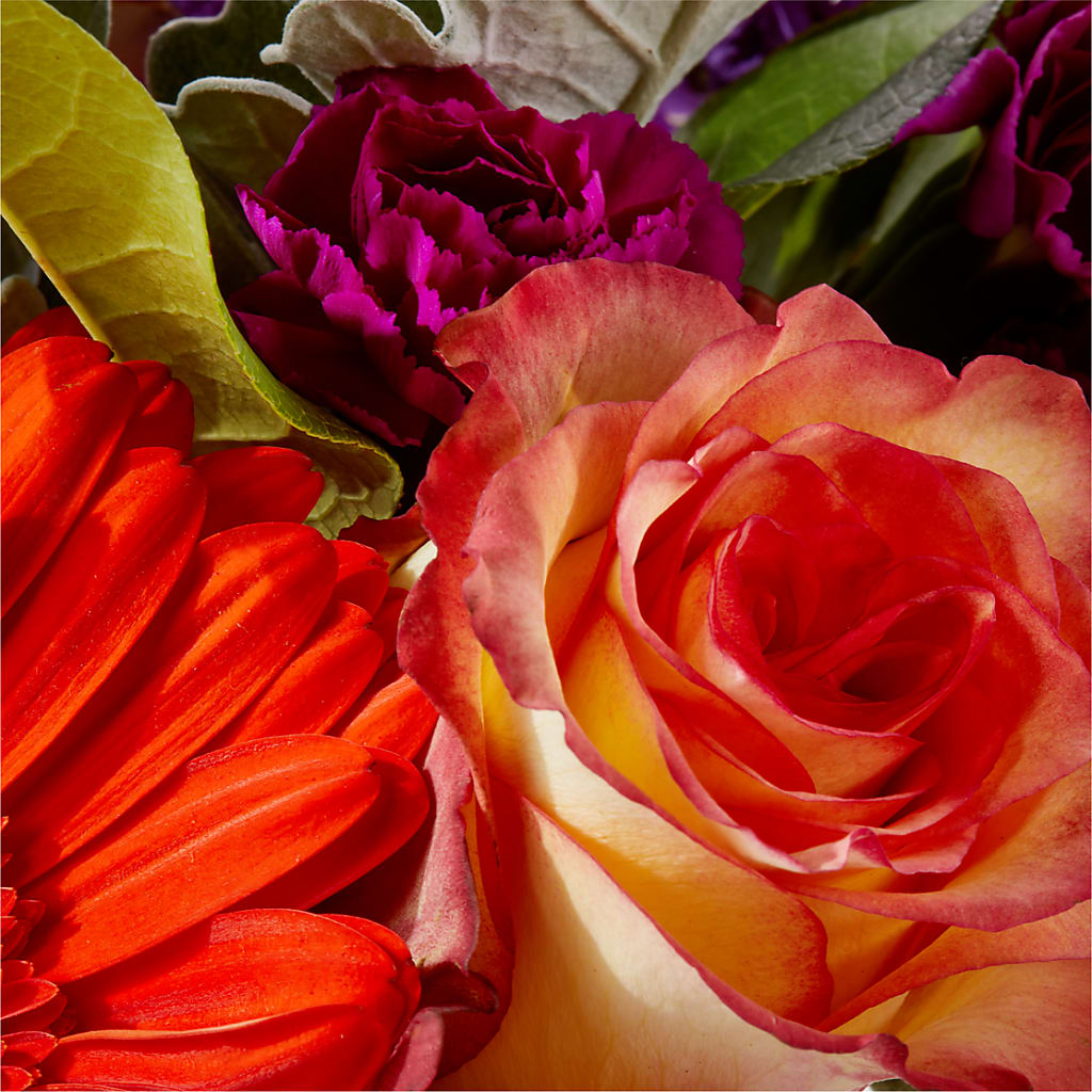 Sangria Bouquet –  James Floral Shoppe, Wilkinsburg PA
