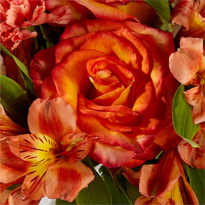 Apricot Glow Bouquet –  James Floral Shoppe, Wilkinsburg PA