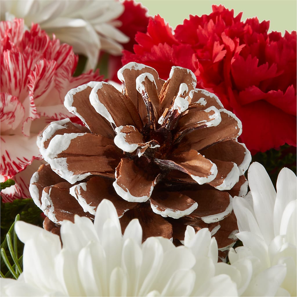 Candy Cane Lane Bouquet –  James Floral Shoppe, Wilkinsburg PA