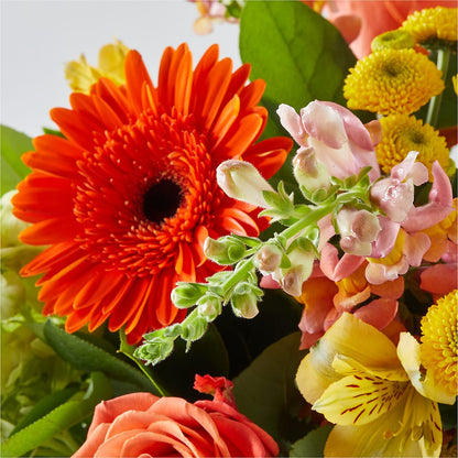 Autumn Sunshine Bouquet –  James Floral Shoppe, Wilkinsburg PA